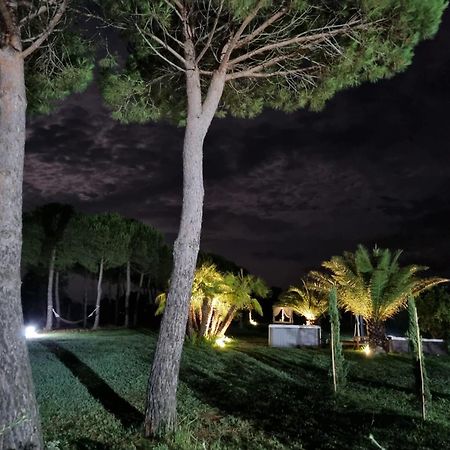 Agriturismo La Pergola Castiglione del Lago Exterior photo